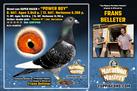 FRANS BELLETER => 2 SUPER PIGEONS ❗ ❗ ❗