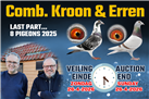 8 beautiful Kroon & Erren pigeons now for sale