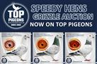Speedy Hens | Grizzle Auction