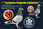 EXCLUSIVE ORIGINALS COLLECTION