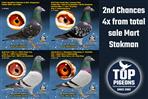 2nd Chances Total Sale Mart Stokman †