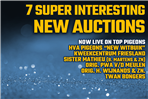 7x Super Interesting New Auction