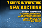 7x Super Interesting New Auction